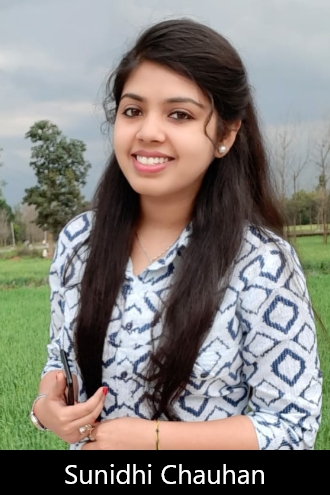 Donate Small Widget – 10