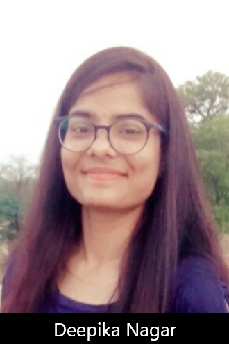 Donate Small Widget – 11