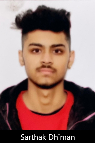 Donate Small Widget – 20