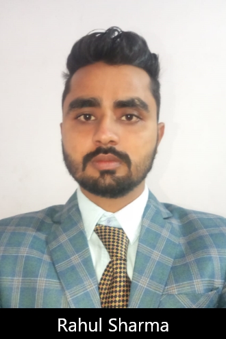 Donate Small Widget – 7